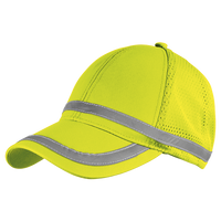 Barron Safety Cap with Mesh